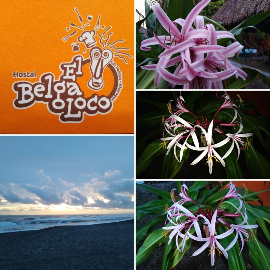 Готель El Belga Loco Лас-Пенітас Екстер'єр фото